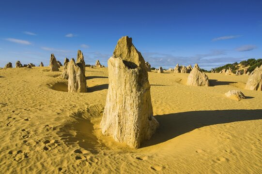 The Pinnacles limestone formations, Nambung National Park, Western Australia