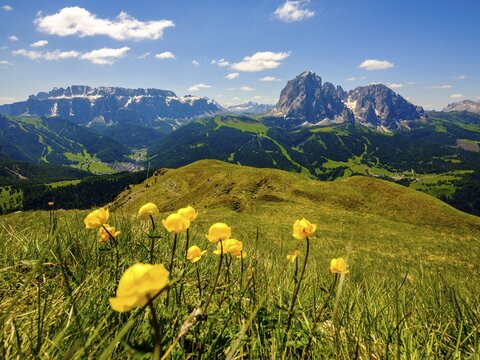 Sella Group and Sassolungo, Dolomites, South Tyrol, Italy