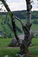 widok z gór Sowich z schroniska Orzeł pod Wielką Sową © Arek mały