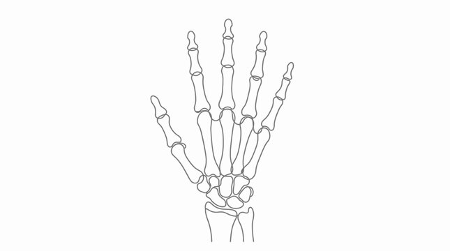Anatomical line drawing of a human hand skeleton.