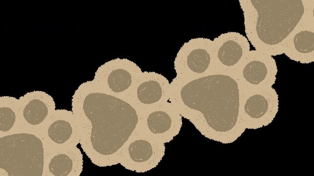 Hand drawn Paw Print Transition Animation