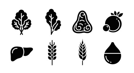Fototapeta premium Vector illustration of a human liver icon, symbolizing health, nutrition, and medical concepts.