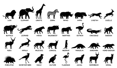 African Safari Animals Silhouette Vector Set with Names Featuring Lion Elephant Giraffe Zebra Rhino Hippo Cheetah Crocodile and Savanna Wildlife Typography © MdGohurul