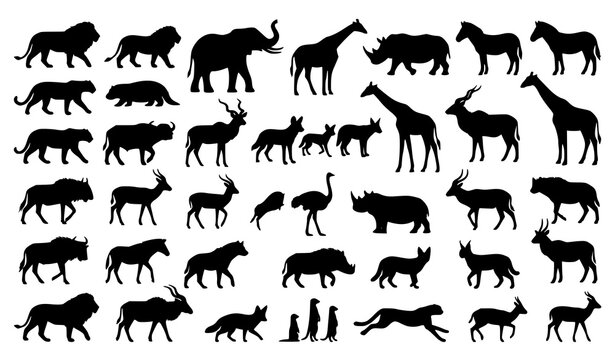 African Safari Animals Black Silhouette Vector Set Featuring Lions Elephants Giraffes Rhinoceros Zebras Cheetahs Hippos Meerkats and Wild Savanna Wildlife Icons