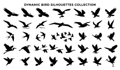Fototapeta premium Dynamic Bird Silhouettes Collection Vector Set Featuring Flying Eagles Seagulls Herons Swallows and Pigeons for Nature Freedom Wildlife and Logo Graphic Designs