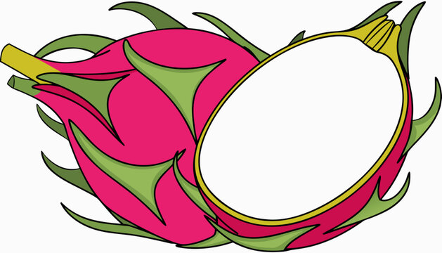 Dragon fruit isolated on white background 