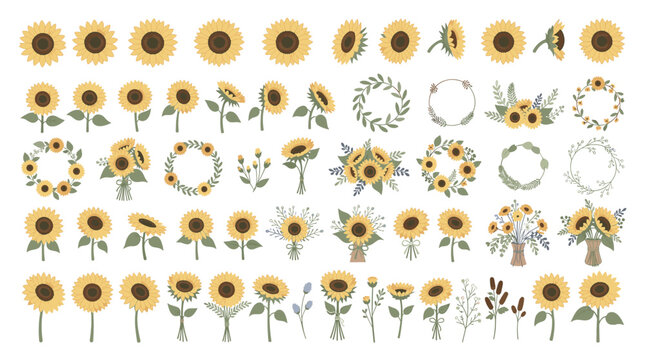 Rustic Autumn Sunflower Circular Wreath Borders and Country Floral Foliage Garlands for Thanksgiving Event Invitations and Organic Botanical Product Branding Graphics