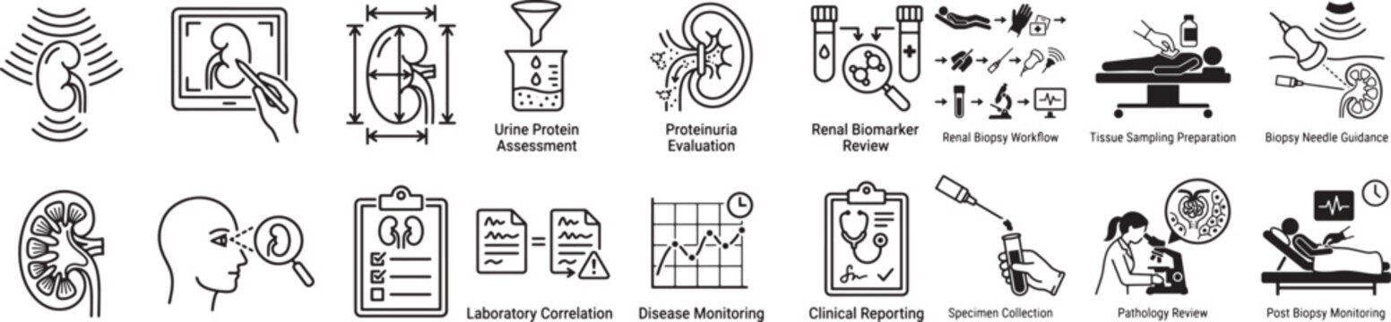 Renal biopsy and kidney diagnostic icons with proteinuria evaluation renal biomarker review pathology review and clinical reporting medical symbols