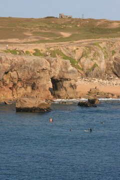 C&ocirc;te sauvage de la presqu'&icirc;le de Quiberon (Bretagne, Morbihan, France)