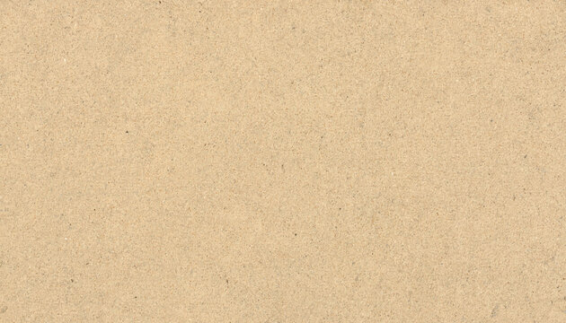 Detailed texture of light brown sand with fine grains and small pebbles transparent background