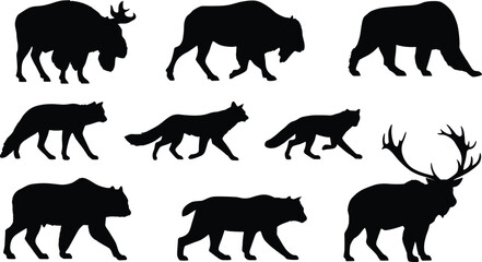 Fototapeta premium Vector silhouettes of wild forest animals including moose wolf bear fox and lynx on white background