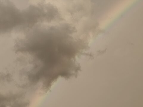 Rainbow Arc Beside Dark Storm Clouds with Bird in Flight