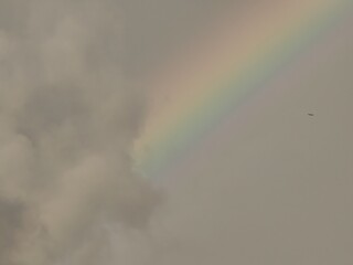Fototapeta premium Vivid Rainbow Band Against Overcast Sky with Distant Bird