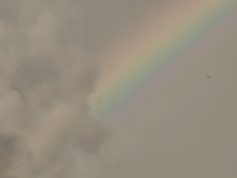 Vivid Rainbow Band Against Overcast Sky with Distant Bird