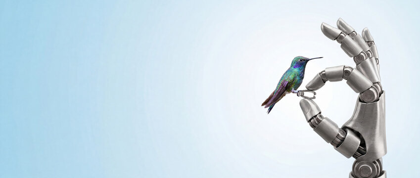 Colorful hummingbird sitting on an okay gesture sign made by a robotic hand