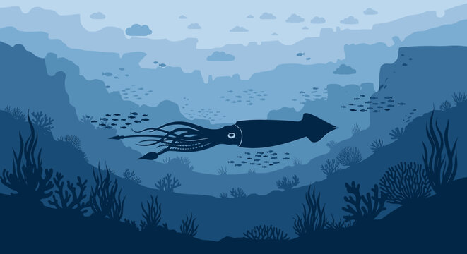 Squid swimming in dark waters deep.