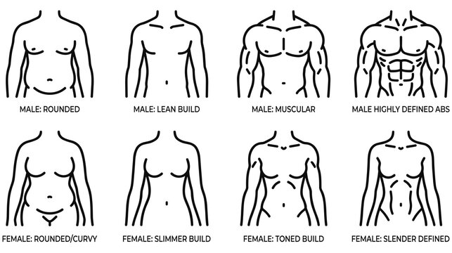 Male and female body types outline set human figure silhouettes collection.