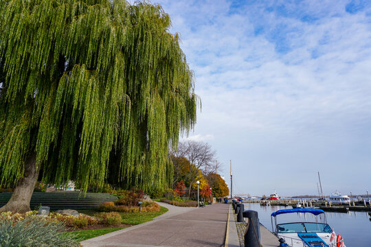 downtown toronto by the water