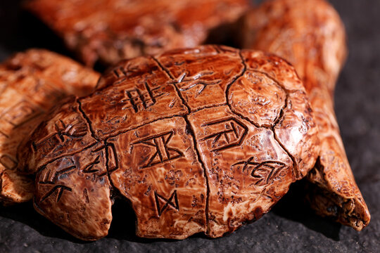 Ancient Shang Dynasty Oracle Bones with Chinese Characters Archaeological Heritage Discovery
