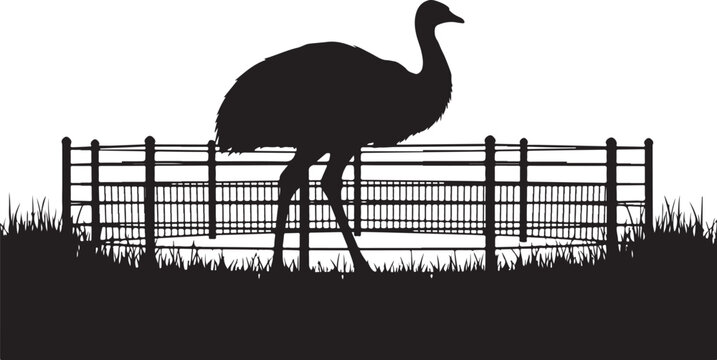 Black silhouette of an ostrich standing behind a fence grass