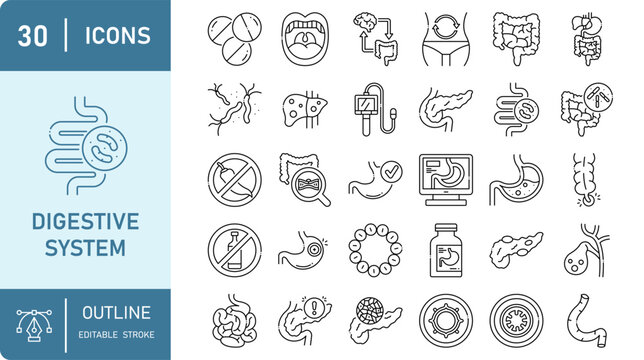 Collection of digestive system, human organs, and gastrointestinal tract outline icon set, anatomy, health, stomach