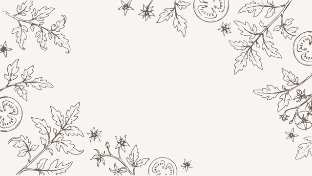 tomatoes with brunch and leaves background, hand drawn ink illustration style, vector file