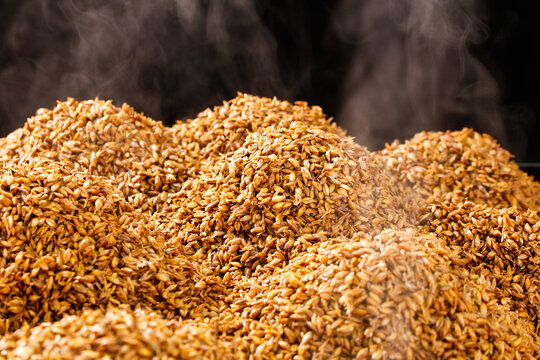 Golden Wheat Grains and Cereals for Brewing and Food Processing