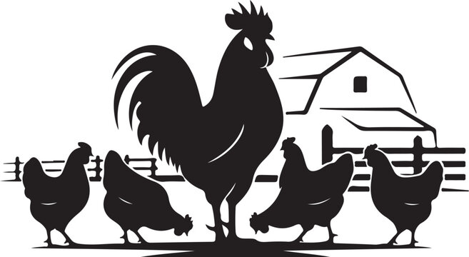 Black silhouette rooster and hens in front of barn and fence