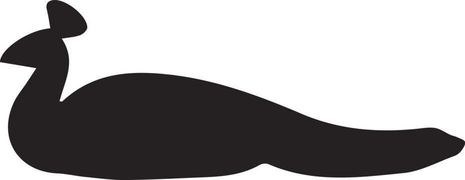 Black parrot and tropical bird vector silhouette collection 