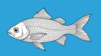 Fototapeta premium Detailed black and white line drawing of a fish featuring intricate scales and fins set against a bright solid blue background.