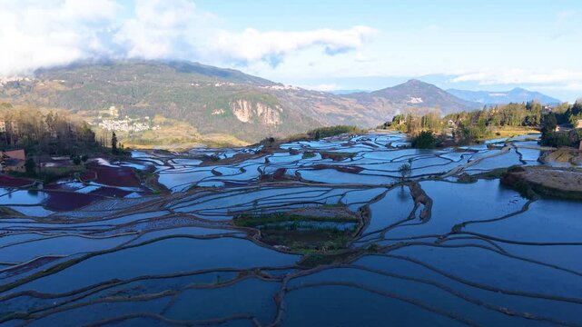 Aerial view of the terraced fields in Yuanyang, Yunnan Province