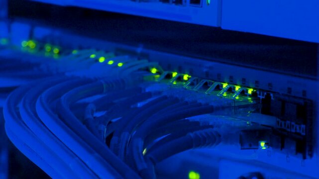 Close-up of Network Cables Connected to a Server Rack with Blinking Lights