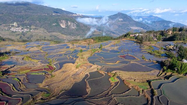 Aerial view of the terraced fields in Yuanyang, Yunnan Province