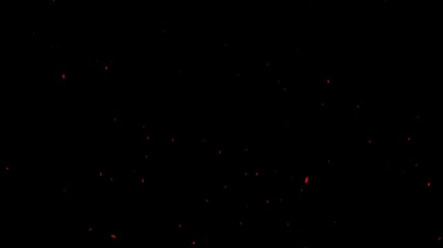 Red glowing embers rising slowly in dark night motion footage