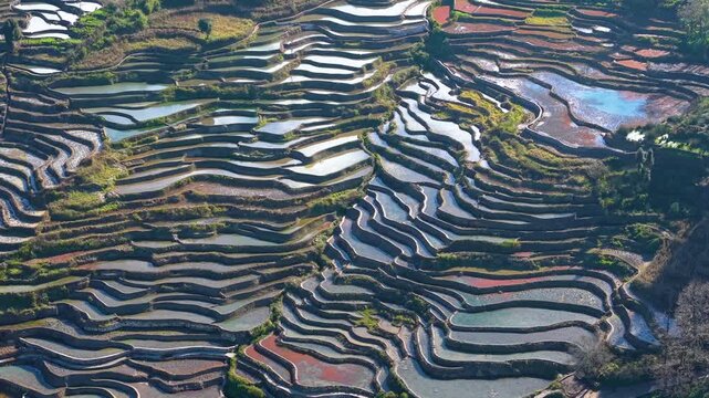 Aerial view of the terraced fields in Yuanyang, Yunnan Province