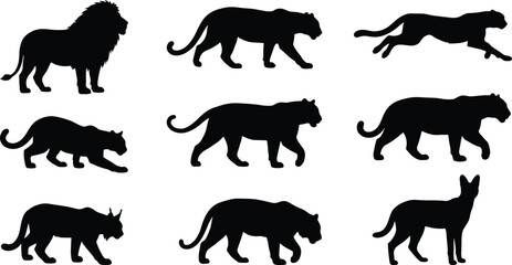 Big Cat Wildlife Silhouette Collection Featuring Lion Panther Lynx and Wild Feline © Md Baccu