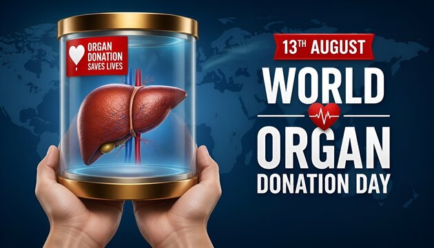 World organ donation day with liver for transplantation, saving lives, artwork, print, doodle, vector illustration (Vector)