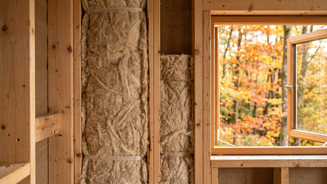 Natural Sheep Wool Insulation Installed Inside Sustainable Timber Frame Construction, Soft Autumn Light, Eco-Friendly Material and Green Building Detail