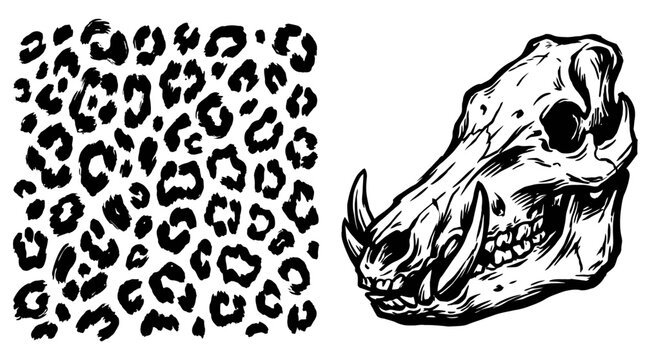 Leopard Print and Wild Boar Skull Illustration