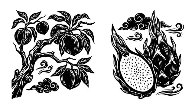 Hand-drawn Fruit Illustration: Peach Tree and Dragon Fruit