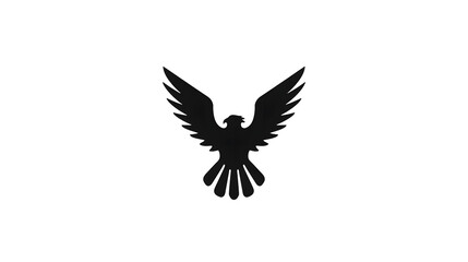 Fototapeta premium Silhouette of a Hawk with Wings Spread Against a White Background