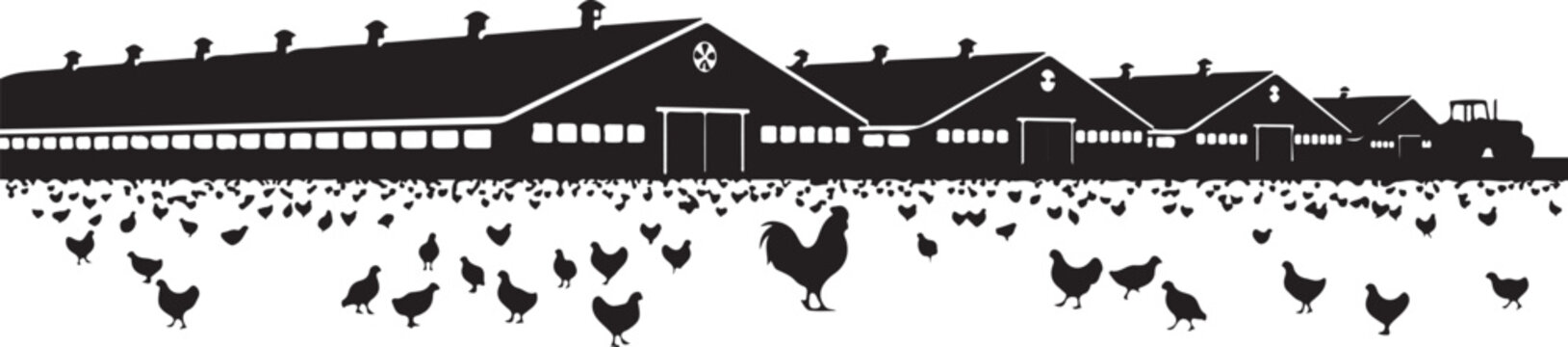 Black silhouette of farm buildings and chickens roosters