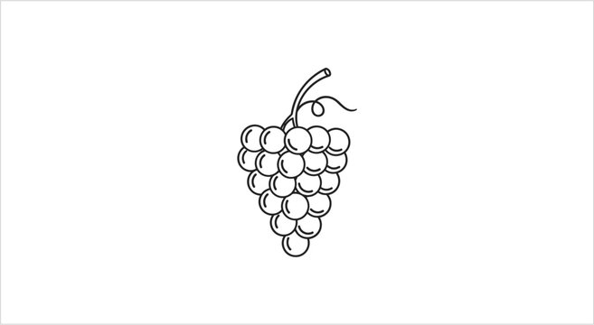 Hand Drawn Bunch of Grapes Illustration.