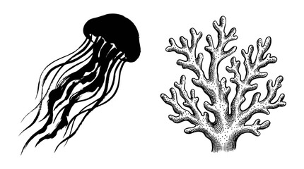 Fototapeta premium Jellyfish and Coral Illustration - Black and White Sketch