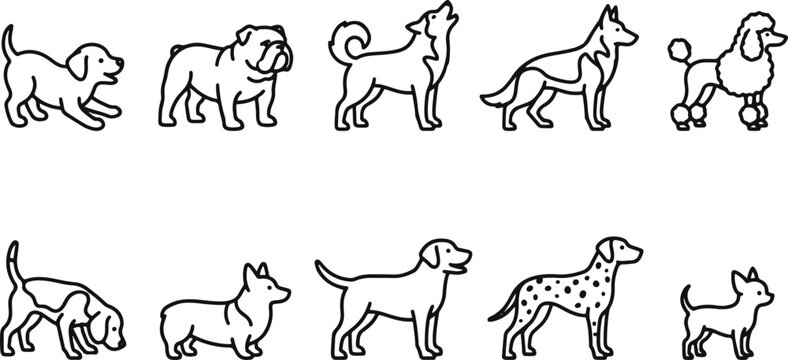 Set of various dog breeds and poses