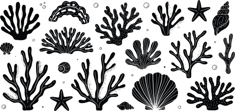 Black silhouette coral starfish shells and bubbles underwater seashell