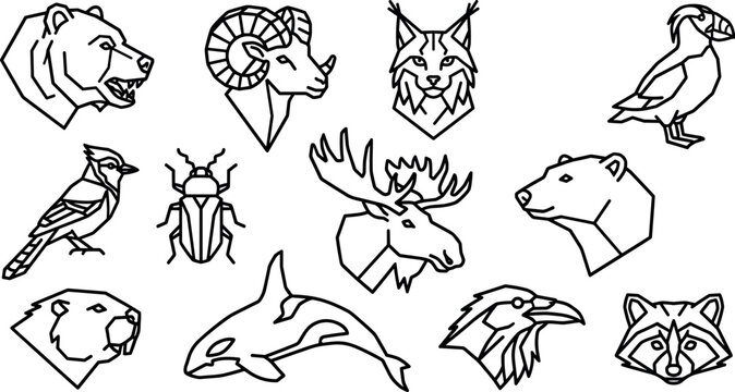 Orca Icon Images – Browse 17,592 Stock Photos, Vectors, and Video