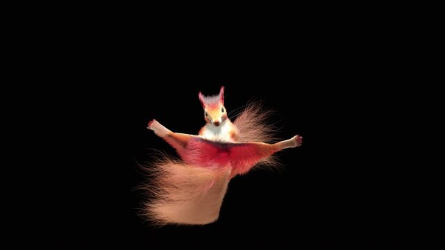 Realistic dancing squirrel performing rumba dance animation with alpha channel transparent background