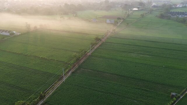 Drone aerial view of Karanganyar, a small town in Central Java, Indonesia, during a peaceful morning with warm sunrise light illuminating the urban landscape and residential neighborhoods.
