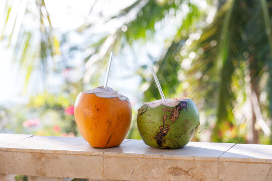 Fresh Tropical Coconuts by the Sea with Palm Foliage Background
